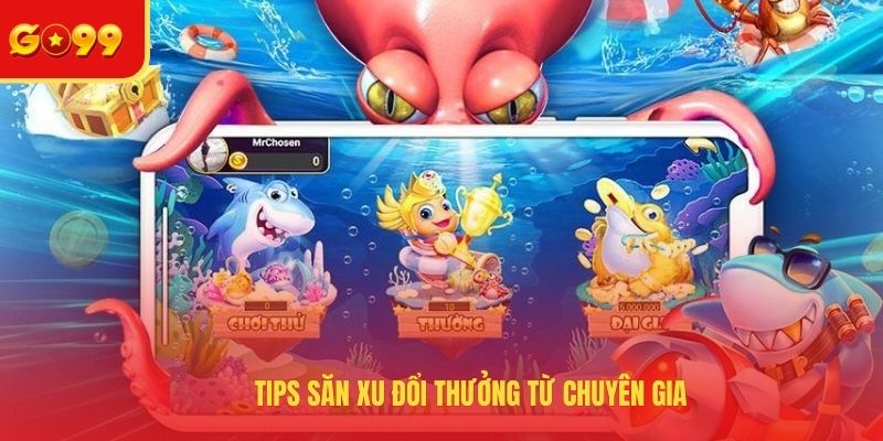 Tips săn xu đổi thưởng từ chuyên gia